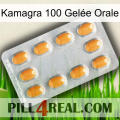 Kamagra 100 Gelée Orale cialis3